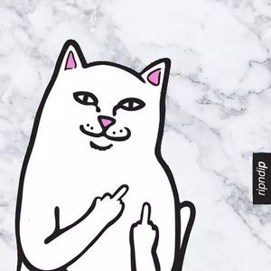 Meet your Posher, Caitlyn